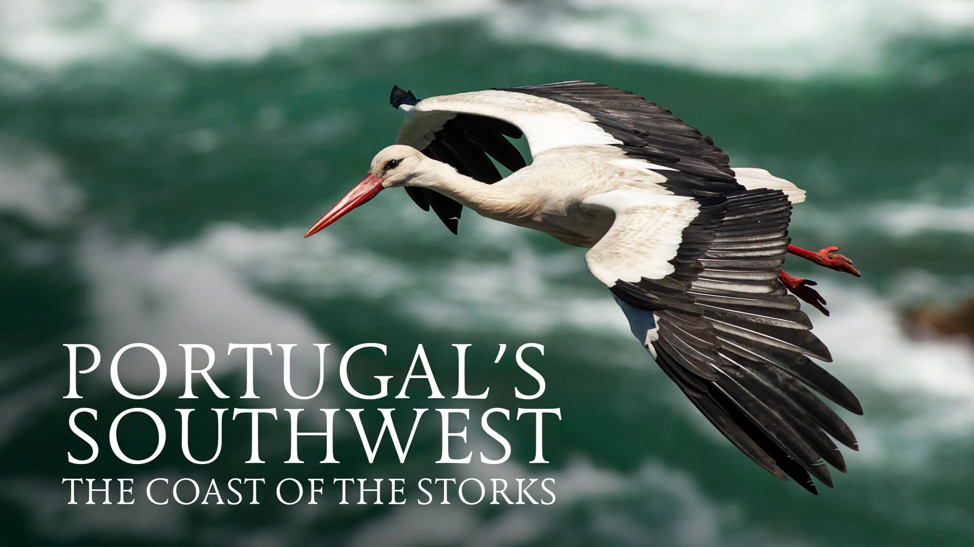 Portugal's Southwest: The Coast of The Storks poster
